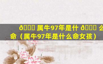 🐝 属牛97年是什 🐋 么命（属牛97年是什么命女孩）